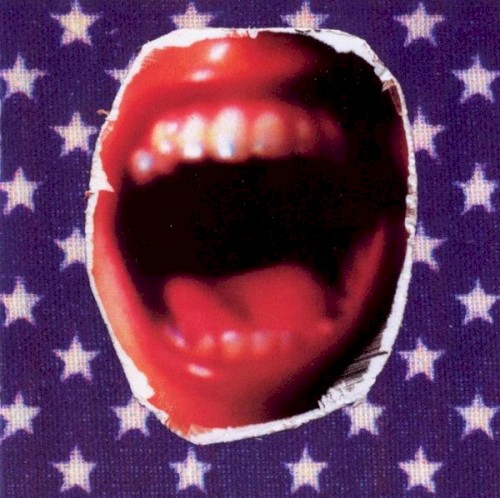 Ministry - Rantology